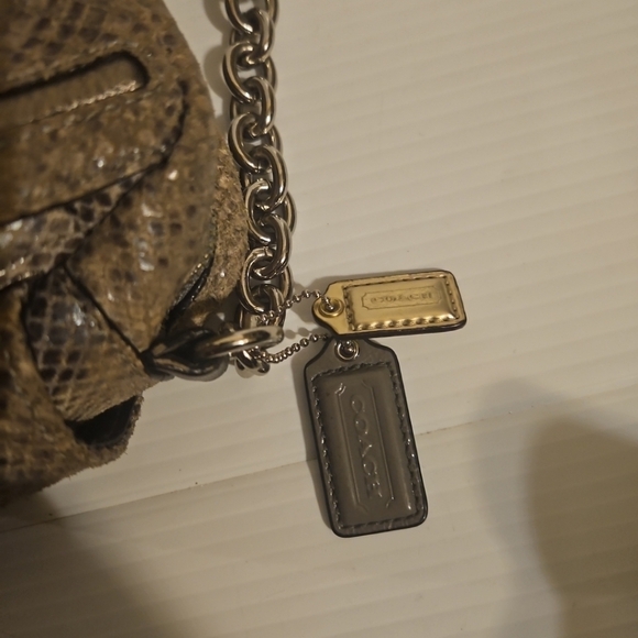 Coach Cambell Me Iridescent Python  Crossbody Bag F24849 –Rare& Stunning - Picture 11 of 16